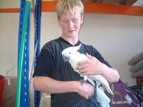 Robert with Missy our Triton Cockatoo 